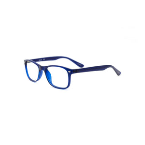 Lunettes reconditionnées Level - BL01
